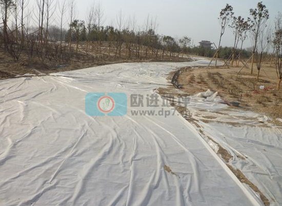 彩色生態(tài)透水混凝土地坪-歐進(jìn)建材m.sugarcreekapts.com